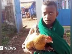 Menino de 12 anos conquista corações depois de tentar internar uma galinha doente em um hospital etíope