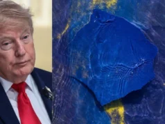 Trump novamente alega que vândalos danificaram o Reflecting Pool: "Eles entraram lá com uma faca"