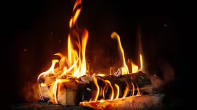 crooked-logs-also-make-straight-fires.jpg