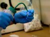 Governador do Novo México exige reparações federais após acusar a DEA de alimentar a crise estadual de fentanil