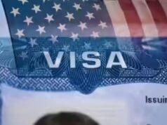 As pessoas ficam chocadas quando eu lhes conto sobre o OPT: o senador da Flórida se transfer para encerrar o caminho para o H-1B
