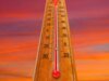 Meus 10 truques de resfriamento doméstico inteligente para sobreviver às ondas de calor