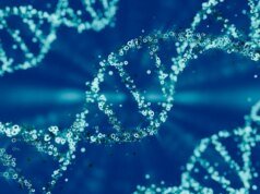Considerando oferecer um teste de DNA no Dia dos Pais? Este especialista diz para pensar duas vezes