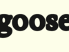 Novo aplicativo de namoro homosexual anti-algoritmo Goose está chegando