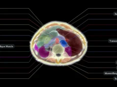 Midjourney está trabalhando em um scanner ultrassônico de corpo inteiro. Sério.