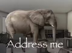 Provérbio indonésio da época: ‘Um elefante no canto do olho não é visto, mas uma formiga do outro lado do oceano é vista’