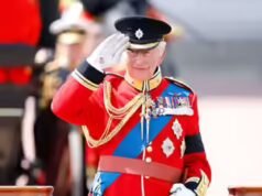 Por que o rei Carlos III comemora seu aniversário oficial em junho, apesar de ter nascido em novembro: Qual é a cor da tropa?