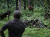 Os caçadores de elefantes de Chalakudy estão em vigília constante para evitar um “conflito”