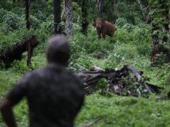 Os caçadores de elefantes de Chalakudy estão em vigília constante para evitar um “conflito”