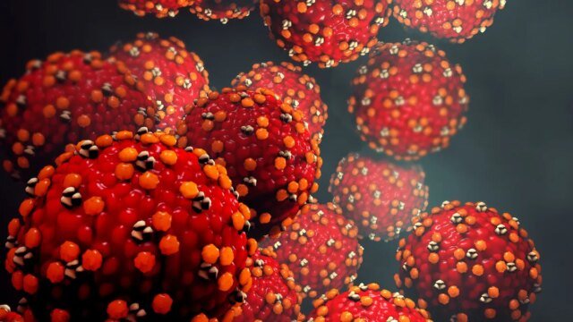 measles-virus.jpg