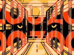 A nuvem versus o leopardo nublado: a reação negativa do knowledge heart da América em exibição no Zoológico de Nashville