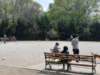 Homem morto, outro crítico após duplo esfaqueamento no parque do Brooklyn enquanto a polícia detinha pessoa de interesse: NYPD