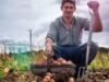 Provérbio alemão da época: “Os agricultores mais estúpidos têm as maiores batatas”