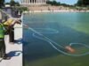 ‘Corte de 250 pés, produtos químicos derramados’: Trump afirma que vândalos danificaram o Reflecting Pool