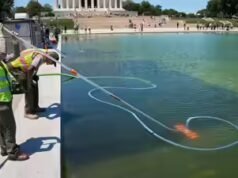 ‘Corte de 250 pés, produtos químicos derramados’: Trump afirma que vândalos danificaram o Reflecting Pool