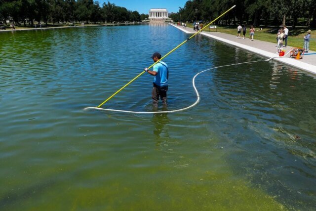 reflecting-pool-algae-1280x854.jpg