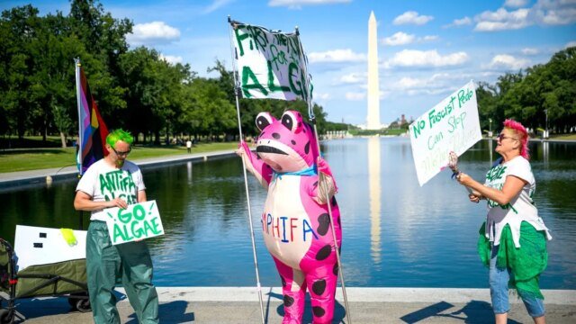 reflecting-pool-protest-fox-news-trump.jpeg