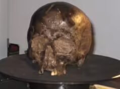 Cientistas encontraram um cérebro de 2.600 anos dentro de um crânio da Idade do Ferro e ainda estava intacto