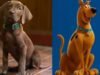 Primeiro visible de ‘Scooby-Doo: Origins’ revelado; fãs reagem