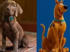 Primeiro visible de ‘Scooby-Doo: Origins’ revelado; fãs reagem