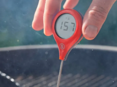 Melhores termômetros de carne de 2026 para Grill Grasp Dads