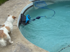 Eu testo limpadores robóticos de piscinas para o trabalho. Este é o que eu uso na minha própria piscina