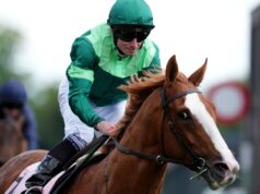 Benvenuto Cellini lidera equipe de quatro O’Brien para Derby