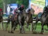 Golden Tempo brilha mais uma vez para selar a glória do Belmont Stakes