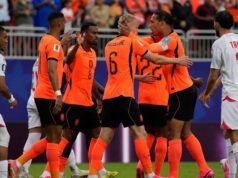 Holanda conquista o primeiro lugar do Grupo F com vitória sobre a Tunísia