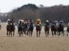 Hoje na Sky Sports activities Racing: Again In Black e El Matador enfrentam-se em Newcastle