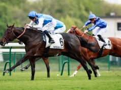 Hoje na Sky Sports activities Racing: confronto noturno e Synaran em ParisLongchamp