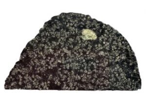 Meteorito raro pode ser evidência de um planeta perdido que nunca se formou totalmente