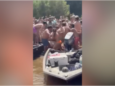 ASSISTIR: Barqueiros embriagados desencadeiam brigas selvagens à beira-rio enquanto punhos voam no well-liked banco de areia da Carolina do Sul