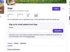 Mastodon busca boletins informativos para ajudar a reviver an online social aberta