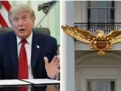 ‘Presente de ouro para a Casa Branca’: Trump compartilha imagem de IA de uma águia gigante para o 250º aniversário