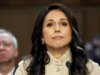 Gabbard destaca questões de origem de Fauci e COVID no ato remaining como chefe de inteligência em meio à luta pela sucessão