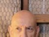 De ‘Gandhi’ a ‘Homem Maravilha’, Sir Ben Kingsley ainda outline o cenário