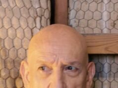 De ‘Gandhi’ a ‘Homem Maravilha’, Sir Ben Kingsley ainda outline o cenário