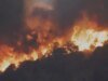 5 incêndios florestais ativos assolam Utah