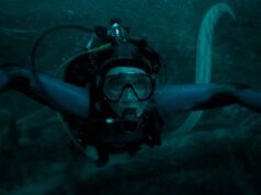 ‘Whalefall’ é, infelizmente, tão cientificamente preciso quanto possível