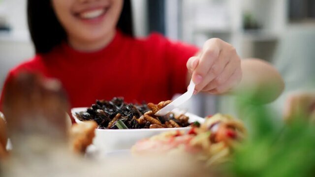 woman_sampling_insects.jpeg