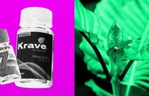 La DEA planea prohibir el compuesto 7-OH del Kratom, related a los opioides