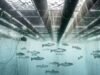 Cómo los paneles solares flotantes crearon un nuevo hogar para miles de salmones en una piscifactoría de Chile