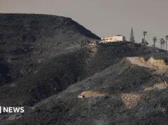 Siete británicos entre los muertos en los incendios forestales en España