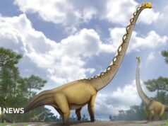 Descubren en Tailandia una nueva especie de dinosaurio con un cuello tan largo como un campo de críquet