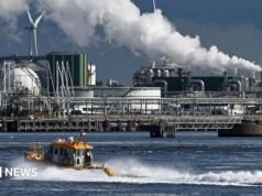 Aumenta la presión para que el puerto más grande de Europa sea más ecológico