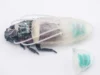 Los investigadores construyeron un traje de buceo para las cucarachas cyborg