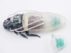 Los investigadores construyeron un traje de buceo para las cucarachas cyborg
