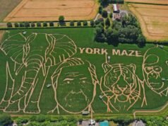 Laberinto de 15 acres diseñado para celebrar el centenario de David Attenborough