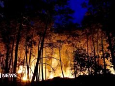 Aviones enviados para combatir incendios forestales de «escala excepcional» cerca de París